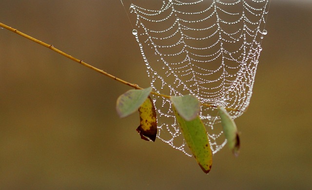 Foto do arquivo: fornecida por 【site 365bet】