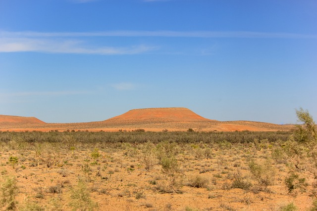 Foto do arquivo: fornecida por 【Plataforma que concede bônus grátis sem precisar depositar】