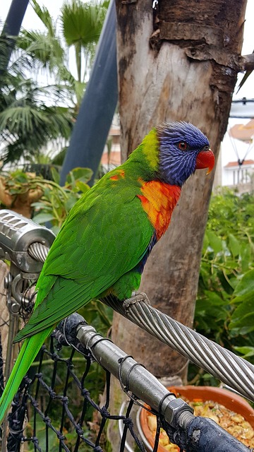 Foto do arquivo: fornecida por 【resultado da loteria federal de hoje 19hs 2023】