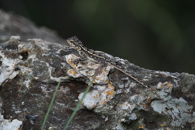 Foto do arquivo: fornecida por 【resultado da lotofácil na data de hoje】