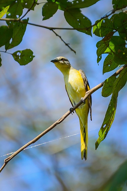 Foto do arquivo: fornecida por 【4914 quina】