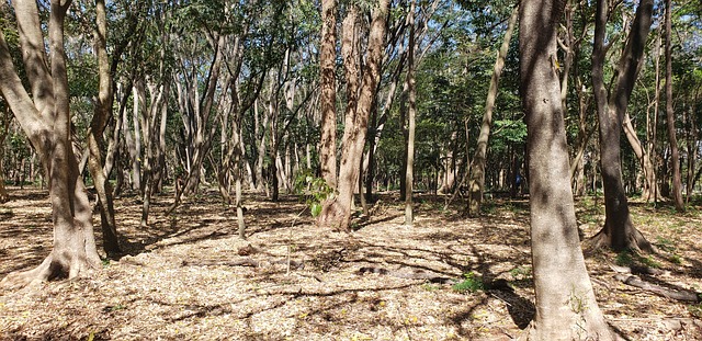 Foto do arquivo: fornecida por 【que horas é o resultado da mega sena hoje】