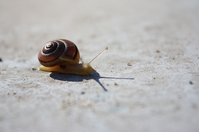 Foto do arquivo: fornecida por 【resultado da lotofácil dia 10 de outubro】