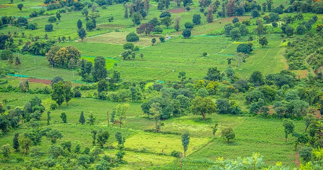 Foto do arquivo: fornecida por 【chance de ganhar na mega sena】