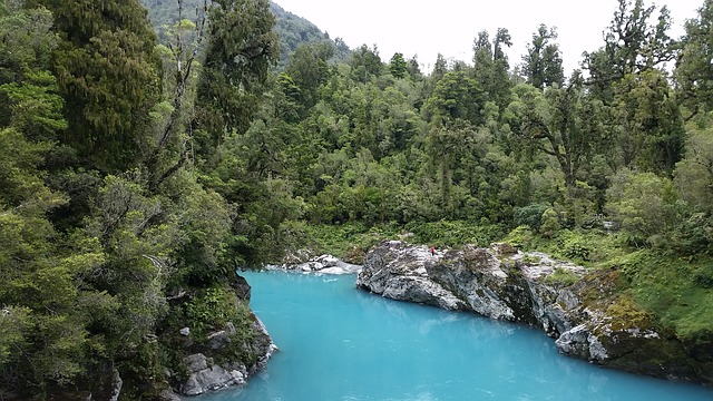 floricultura cassino rio grande rs