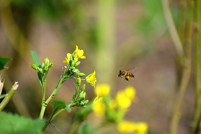 Foto do arquivo: fornecida por 【resultado mega sena bolão caixa】