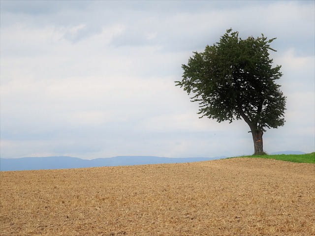 cartao da quina foto