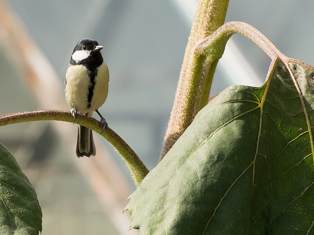 Foto do arquivo: fornecida por 【acassuso】