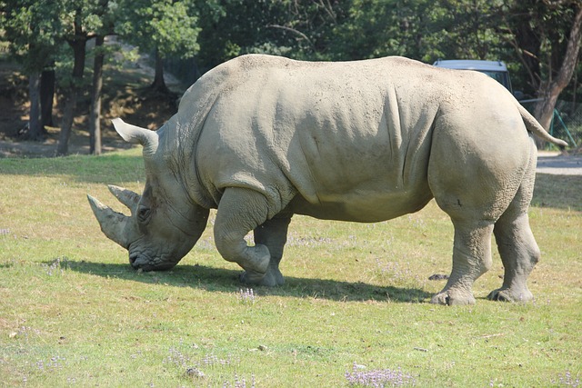 Foto do arquivo: fornecida por 【Último sorteio do bicho】