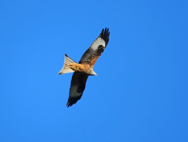 Foto do arquivo: fornecida por 【resultado do jogo do bicho de hoje de hoje】