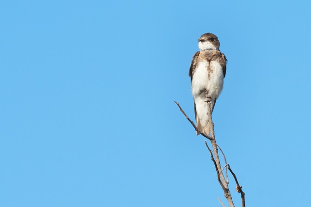 Foto do arquivo: fornecida por 【resultado do jogo do bicho caminho da sorte 18 30】