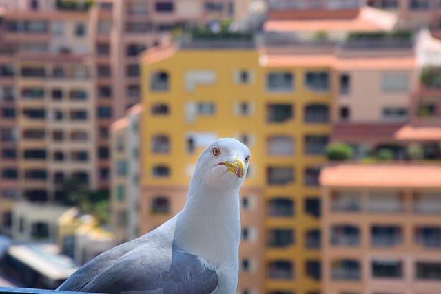 Foto do arquivo: fornecida por 【plataforma nova de 3 reais】