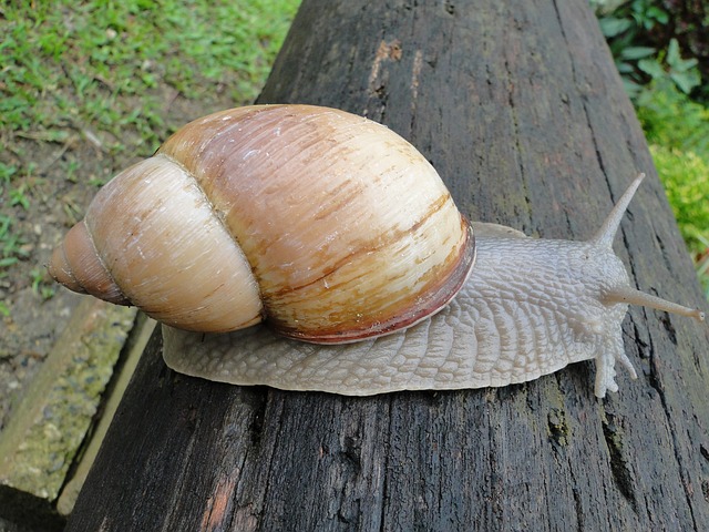 Plataforma para geração de dinheiro