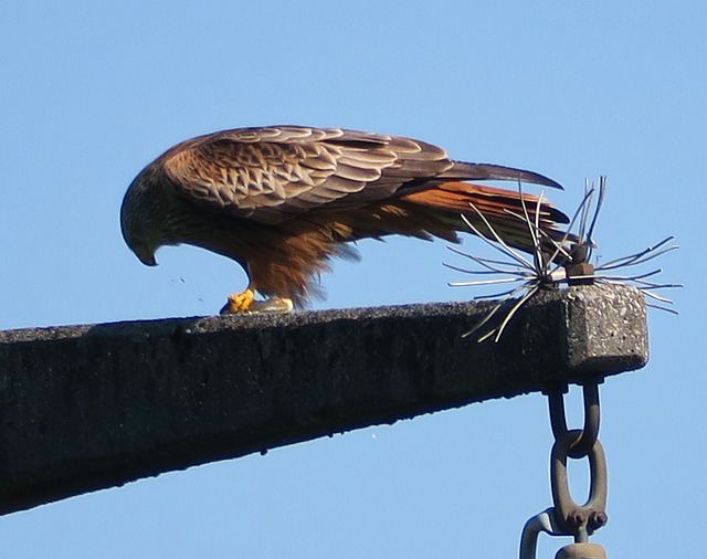 Foto do arquivo: fornecida por 【Aplicativo novo de cassino com pagamento no cadastro imediato】