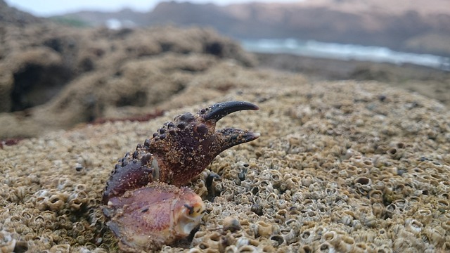 Foto do arquivo: fornecida por 【jogo do fogo e da agua online】