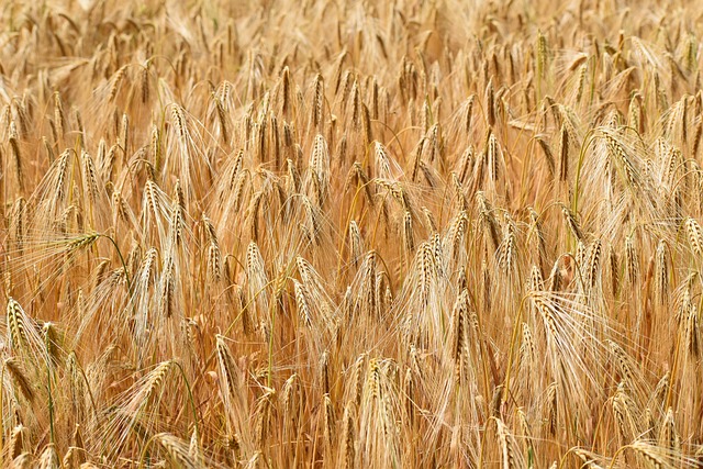 Foto do arquivo: fornecida por 【Crédito fácil via pix para quem tem nome sujo】