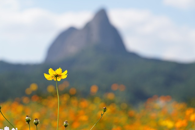 Foto do arquivo: fornecida por 【Plataforma digital que paga bem no Facebook】