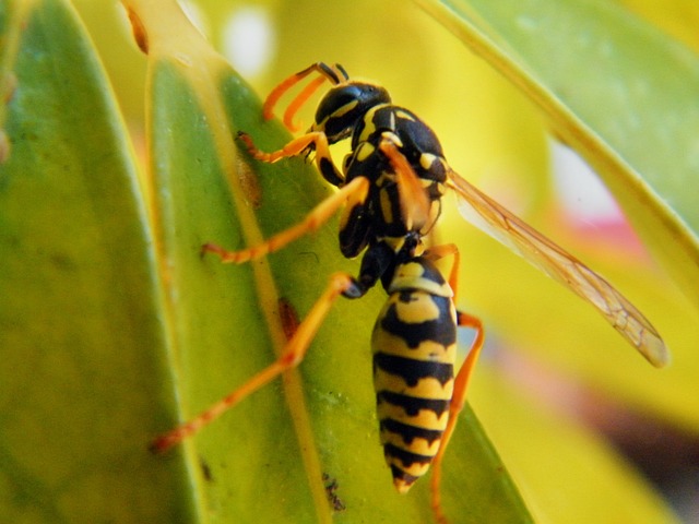 Foto do arquivo: fornecida por 【mais essa loteria quem ganhou fui eu】