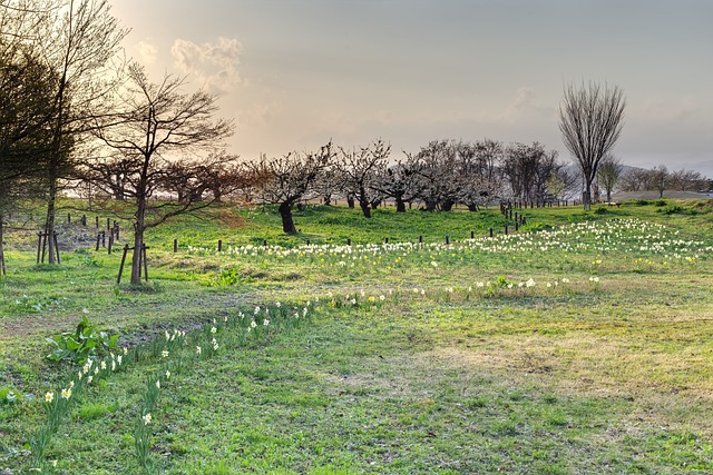 cassino divertido