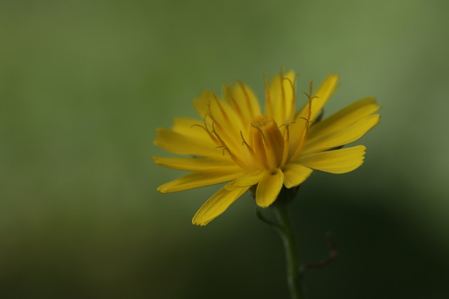 Foto do arquivo: fornecida por 【1 e mais de 2.5 betano】