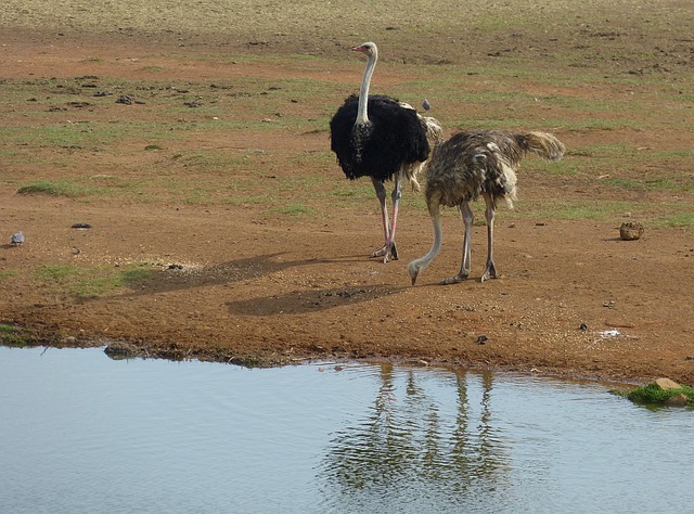 Foto do arquivo: fornecida por 【flamingo casino】