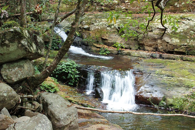 Foto do arquivo: fornecida por 【horóscopo para gêmeos hoje】