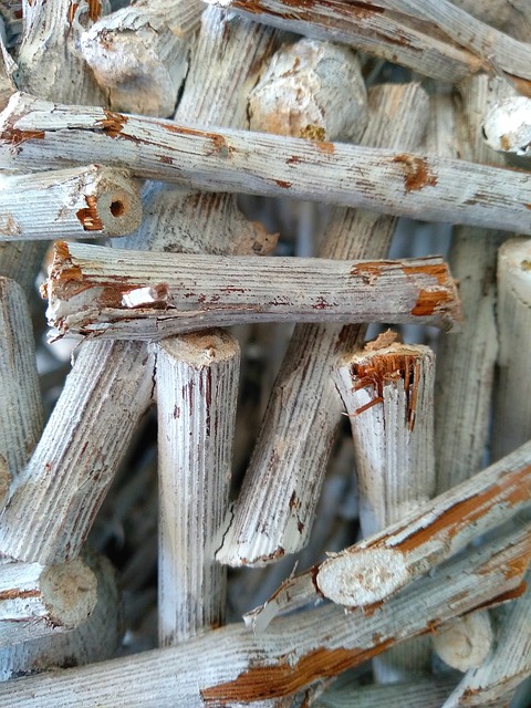 Foto do arquivo: fornecida por 【captain's bounty rockport massachusetts】