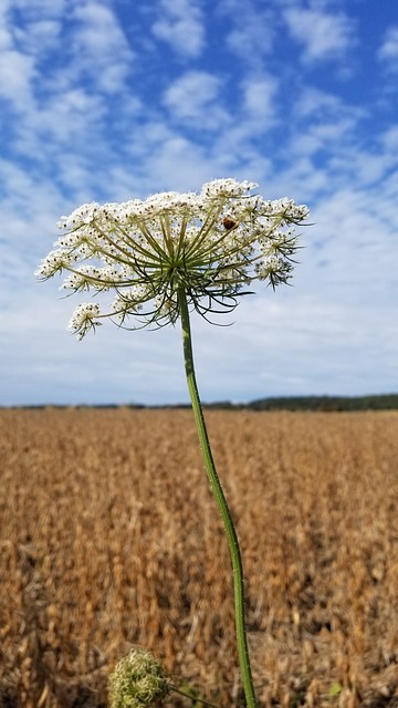 Foto do arquivo: fornecida por 【lotofácil 1825】