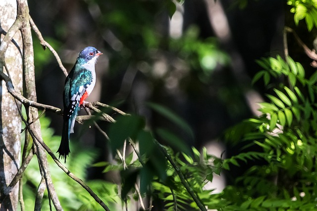 loterias resultado quina de sao joao