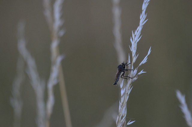 Foto do arquivo: fornecida por 【lsi777】