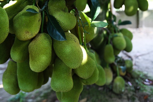 fórmula de bacará