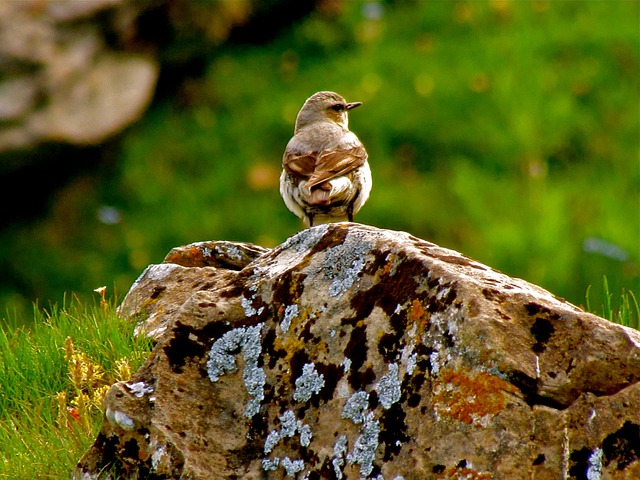 Foto do arquivo: fornecida por 【303pedia】