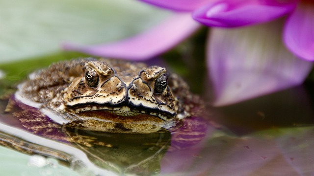 Foto do arquivo: fornecida por 【Sistema que oferece recompensa por cadastro imediato pelo pix】