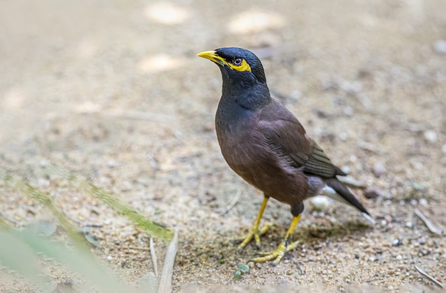 Foto do arquivo: fornecida por 【btv456】