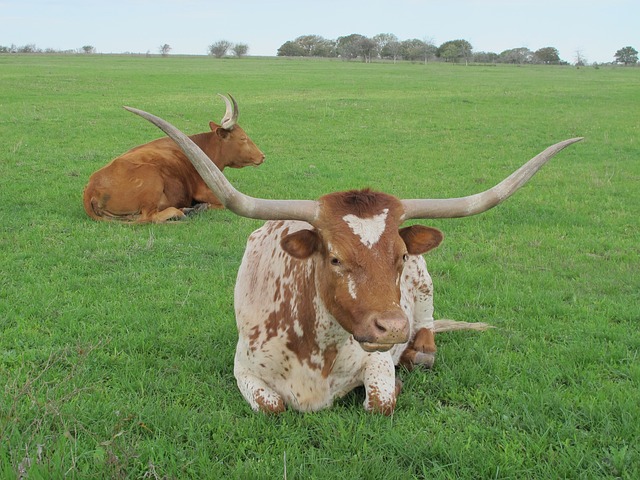 Foto do arquivo: fornecida por 【loterias caixa gov br mega sena】