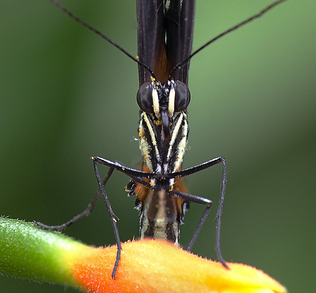 Foto do arquivo: fornecida por 【se bet.com.br】