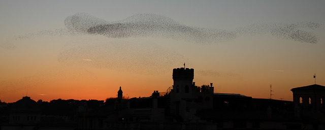 Bônus grátis ao se cadastrar sem pagamento prévio