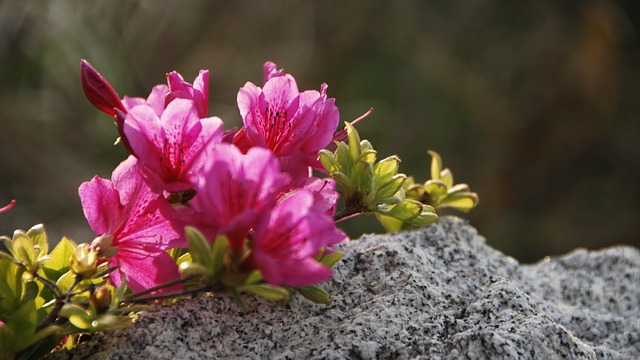 Foto do arquivo: fornecida por 【bwt365 app】