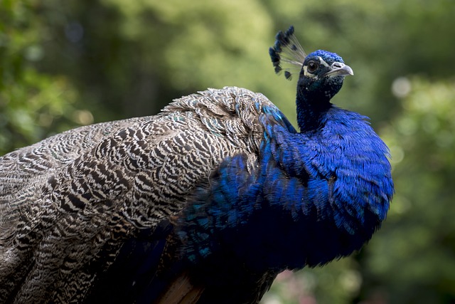 Foto do arquivo: fornecida por 【natura bingo】