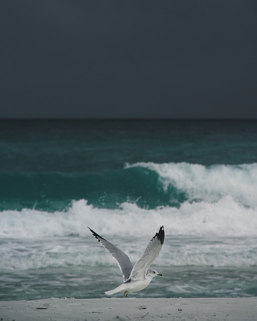 Foto do arquivo: fornecida por 【resultado dessa semana da lotofácil】