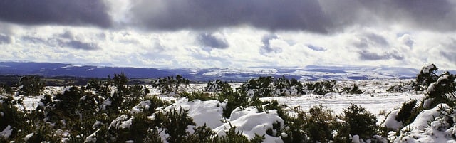 Foto do arquivo: fornecida por 【resultado da quina da loto de hoje】