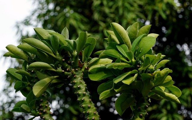 Foto do arquivo: fornecida por 【como criar um pix】