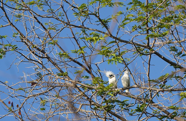 Foto do arquivo: fornecida por 【Canal de renda】