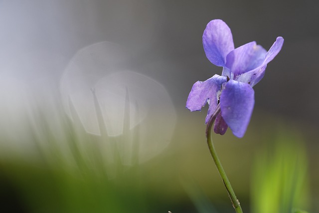 Foto do arquivo: fornecida por 【Sistema novo oferecendo recompensas no Facebook】