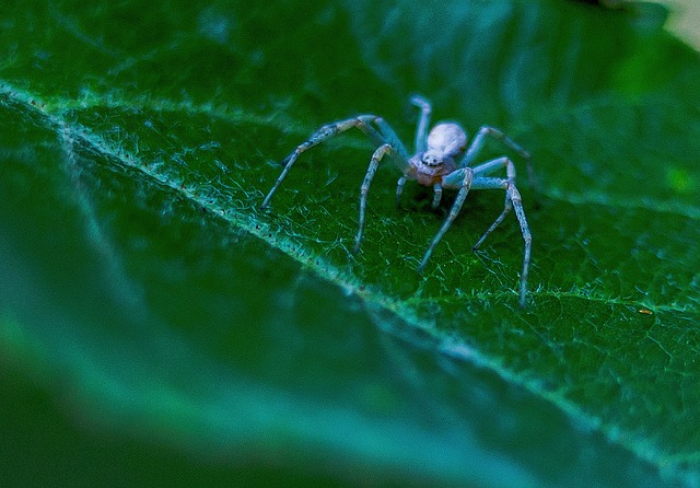 Foto do arquivo: fornecida por 【ganhar dinheiro online na hora】