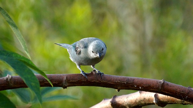 Foto do arquivo: fornecida por 【pika68 slot】