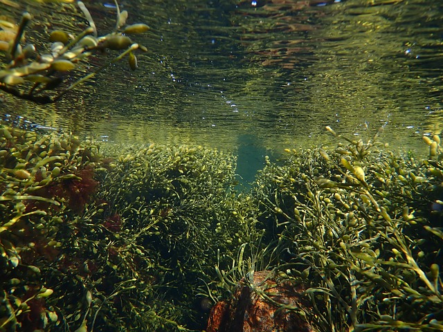 Foto do arquivo: fornecida por 【como ganhar dinheiro rapido】