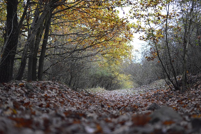 Foto do arquivo: fornecida por 【bonus slotpark】