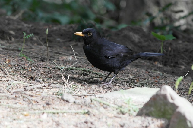 Foto do arquivo: fornecida por 【Resultado de hoje, sorteio da Lotofácil】