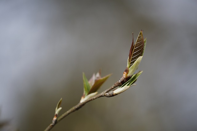 Foto do arquivo: fornecida por 【bonus slotpark】